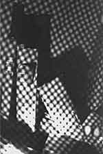  Penny Siopis