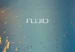 Fluid