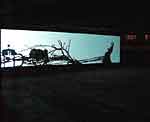 William Kentridge