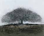 Gail Catlin