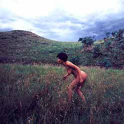 Tracey Rose