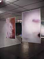 Brenton Maart