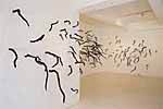 Mark Hipper
