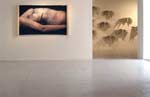 Sanell Aggenbach
