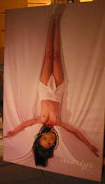 Brigitta Gaylard