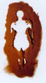 Berni Searle