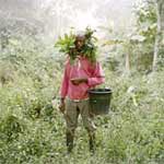 Pieter Hugo