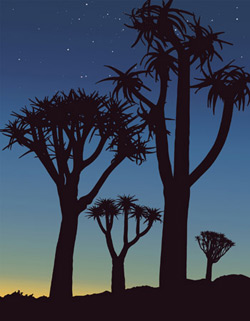 Frances Sanders