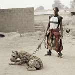 Pieter Hugo