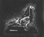 Gerhard Marx