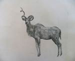 Wim Botha