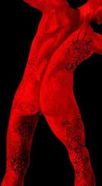 Andrew Verster