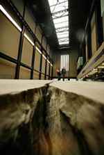 Doris Salcedo