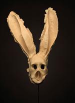 Hentie van der Merwe