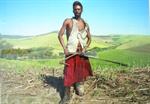 Zwelethu Mthethwa 