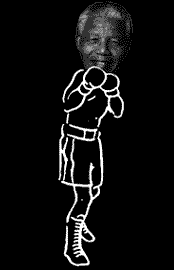 Boxing Madiba