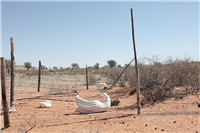 Witdraai I, Kalahari, South Africa, September 2012