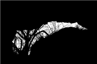 Between