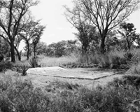 Mass grave at Cassinga II