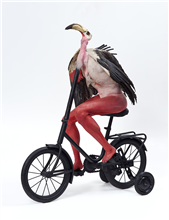 West Coast African Angel