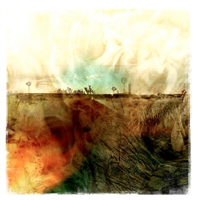 Nuanced Landscape