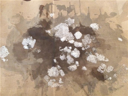 Broken Ice