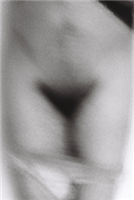 Judith Oscillation 2