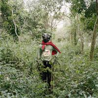 Kwadwo Konado, Wild Honey Collector, Techiman District, Ghana