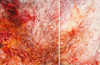 Swarm (diptych)