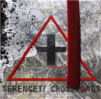SERENGETI CROSSROADS (The Shepherd Principle Project 2011-2014)