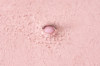 Detail from Pinky Pinky: Pink Eyes