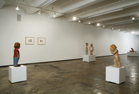 Installation View of Schreuders' 2007 exhibition 'The Fall'