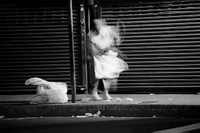 Invisible Woman I