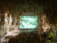In Situ 