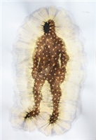 Chafer Suit II