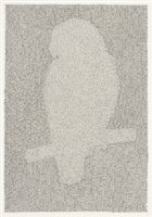 Parrot (African Grey) I