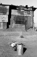 Limbless Doll, Jakkalsfontein