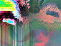 Binary Humans