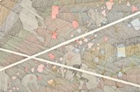 Emergent (detail)
