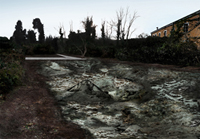 Project for a Momentary Monument (Swamp)