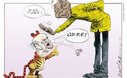 Student Review: Zapiro's Democrazy