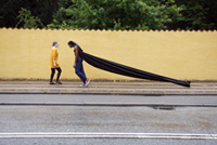 Blind Spot, Metropolis Biennale, Copenhagen photograph 1