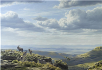 Cape Mountains