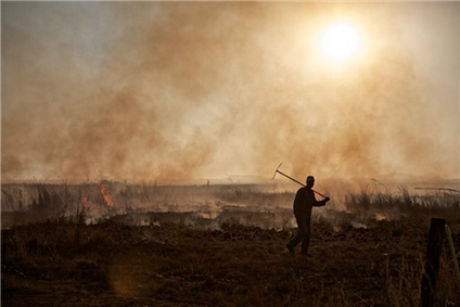 Slash and Burn 2