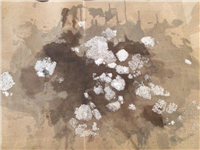 Broken Ice