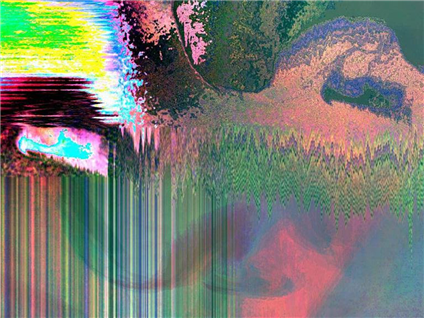 Binary Humans