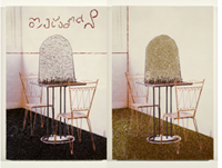 Enigma # 14 (diptych)