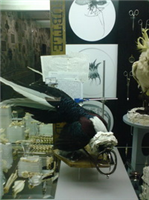 Detail of cabinet display