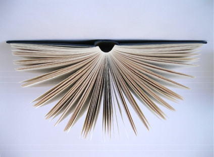 A Novel in Parts
