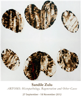 ARTOMS: Histopathology, Regeneration and Other Cases